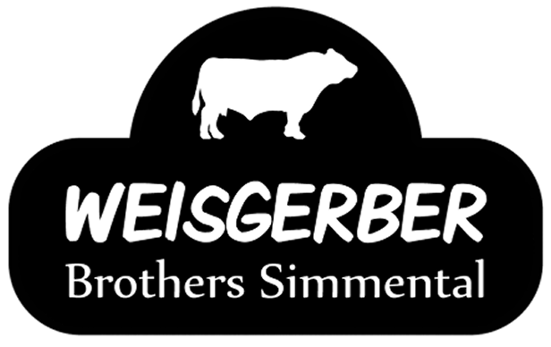 Image Weisgerber Brothers Simmental